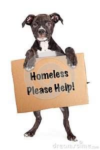 Homeless need Family-- can you help?